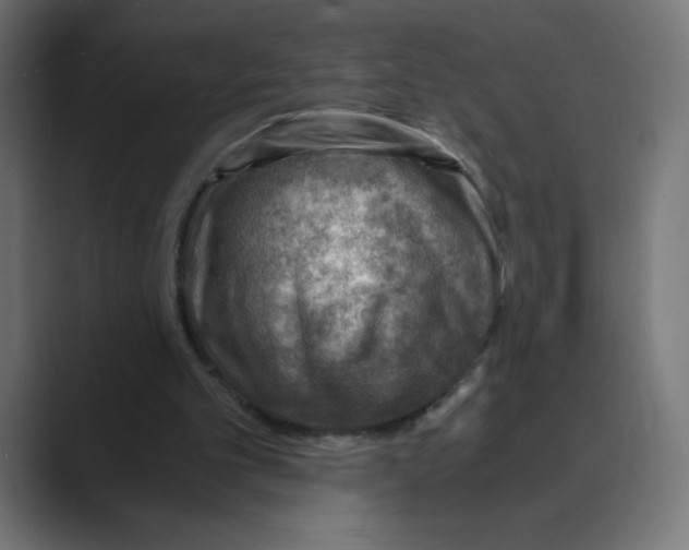 X0000088440101200706191300