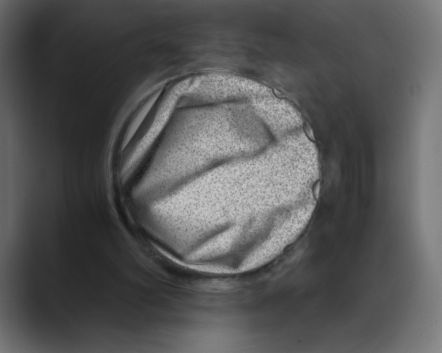 X0000088440102200706191300