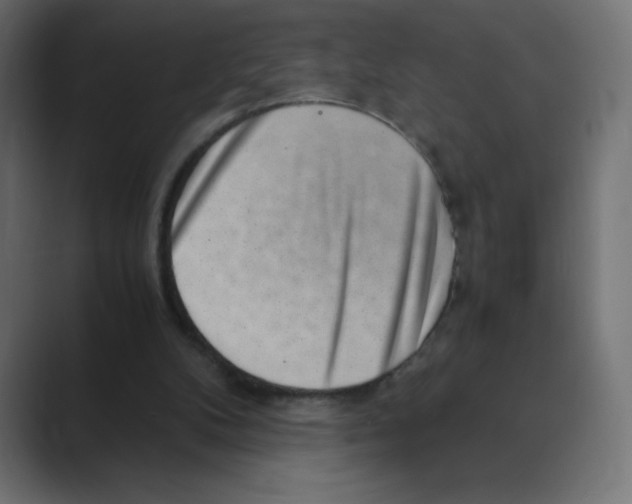 X0000088440104200706191300