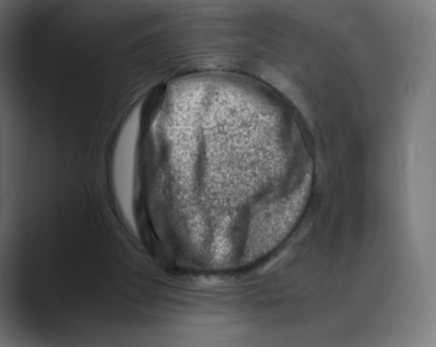 X0000088440105200706191300