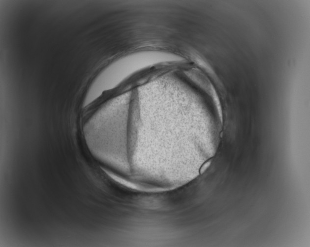 X0000088440106200706191300