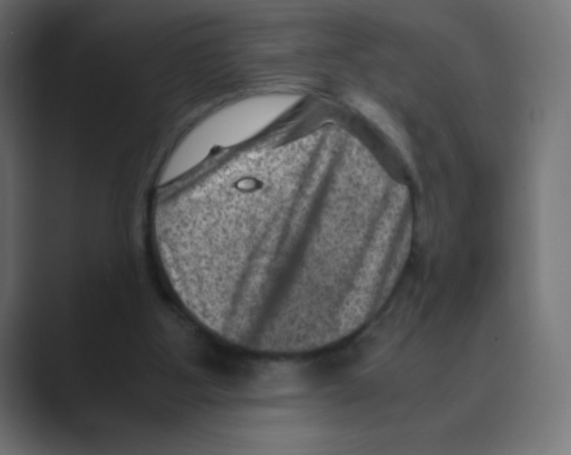 X0000088440107200706191300