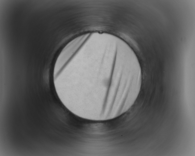 X0000088440108200706191300