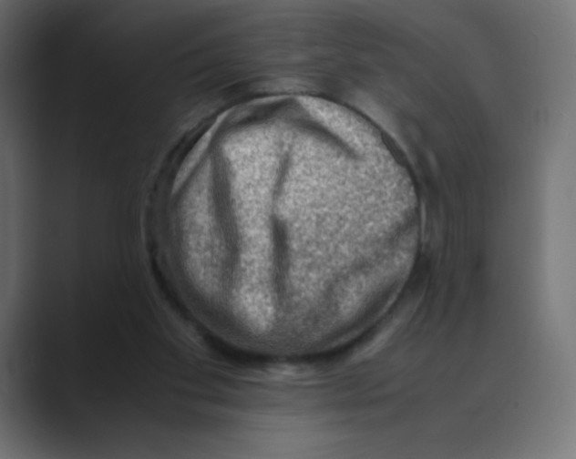 X0000088440109200706191300