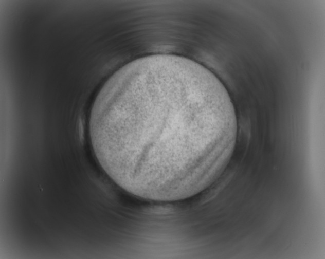 X0000088440110200706191300