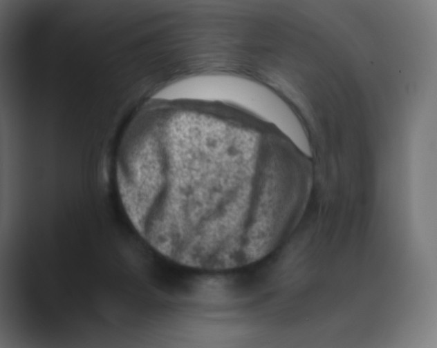X0000088440115200706191300