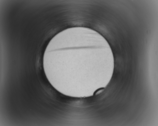 X0000088440116200706191300
