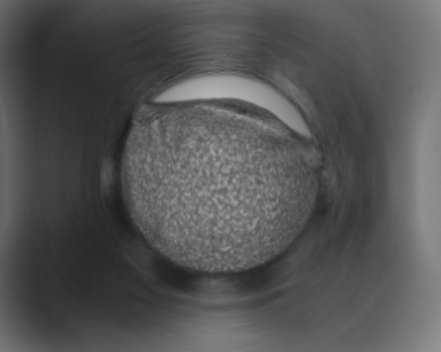 X0000088440117200706191300