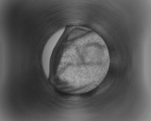 X0000088440119200706191300