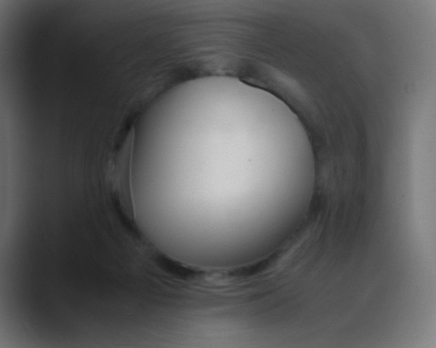 X0000088440121200706191300