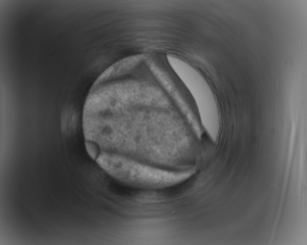 X0000088440123200706191300