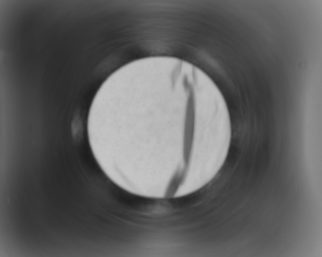 X0000088440124200706191300