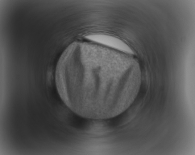 X0000088440127200706191300