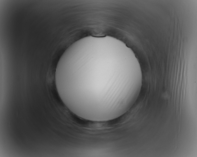 X0000088440129200706191300