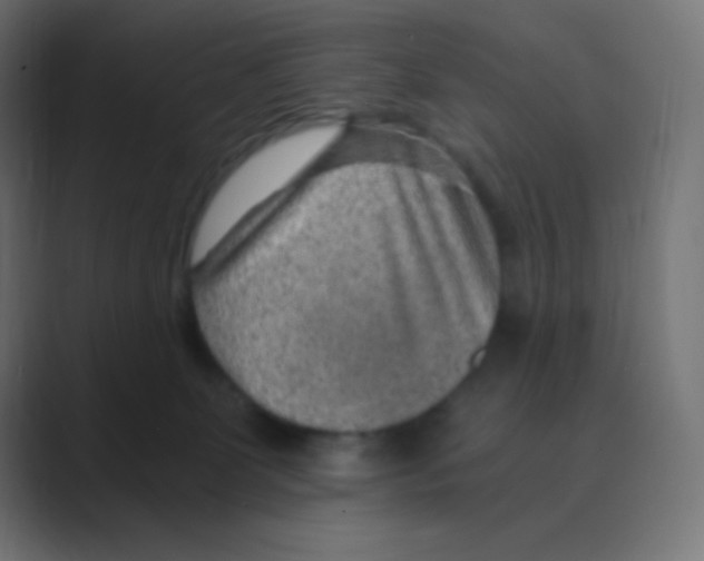 X0000088440131200706191300