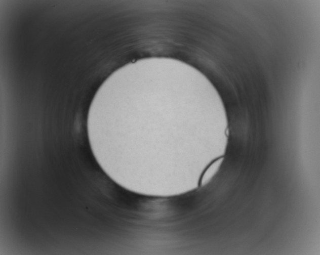 X0000088440132200706191300
