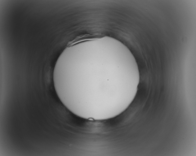 X0000088440133200706191300