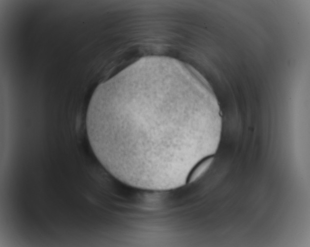 X0000088440134200706191300