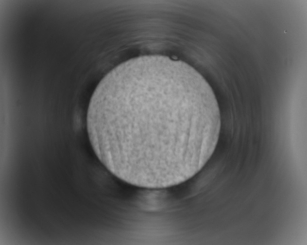X0000088440135200706191300