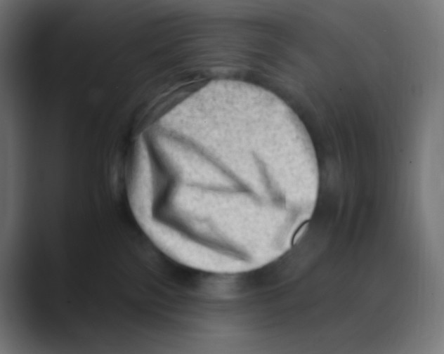 X0000088440138200706191300