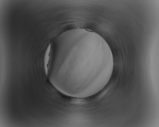 X0000088440139200706191259