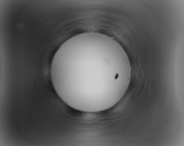 X0000088440141200706191259