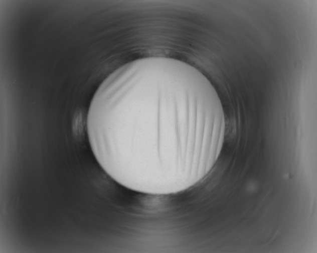 X0000088440142200706191259