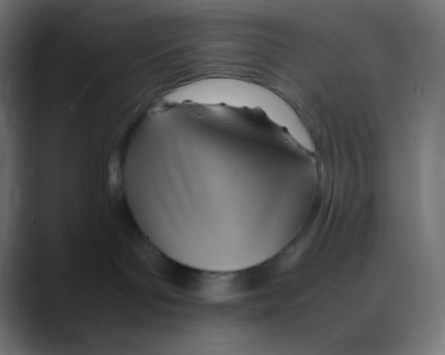 X0000088440143200706191259
