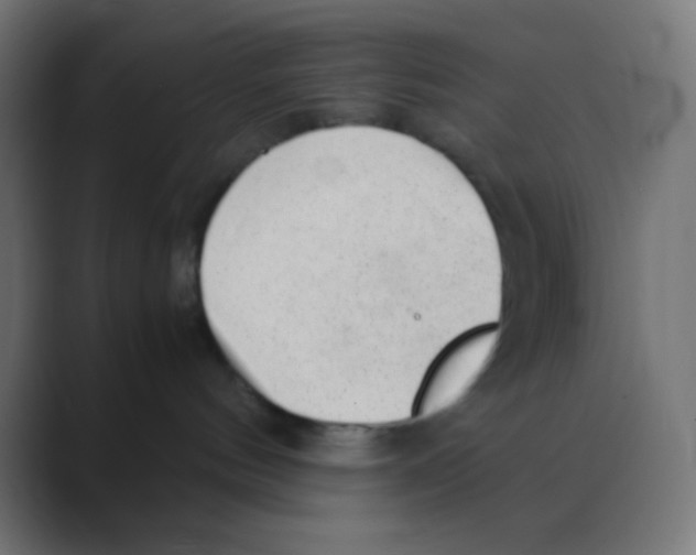 X0000088440144200706191259