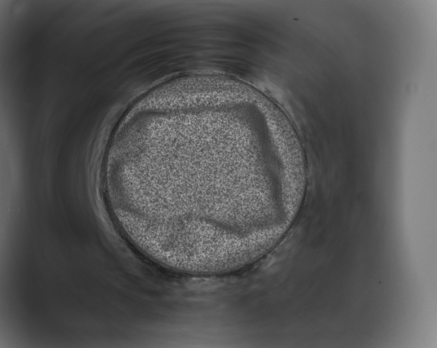 X0000088440145200706191259
