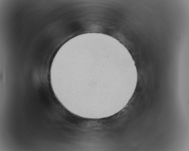 X0000088440146200706191259