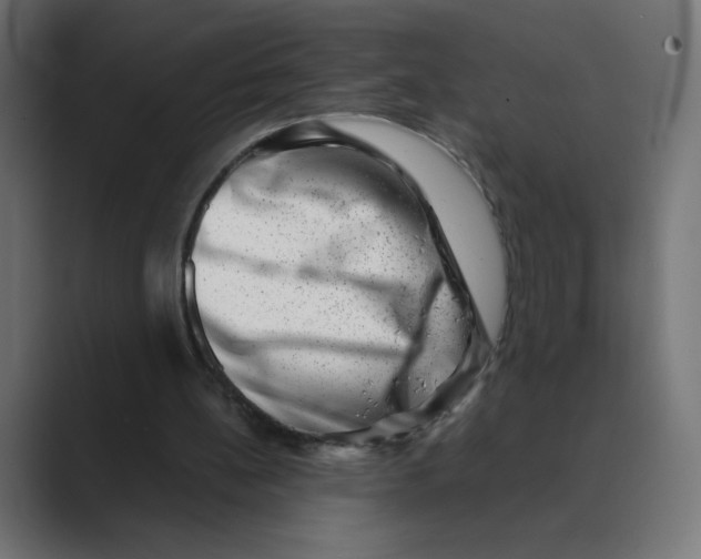 X0000088440148200706191259