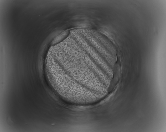 X0000088440149200706191259