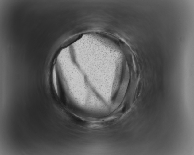 X0000088440152200706191259