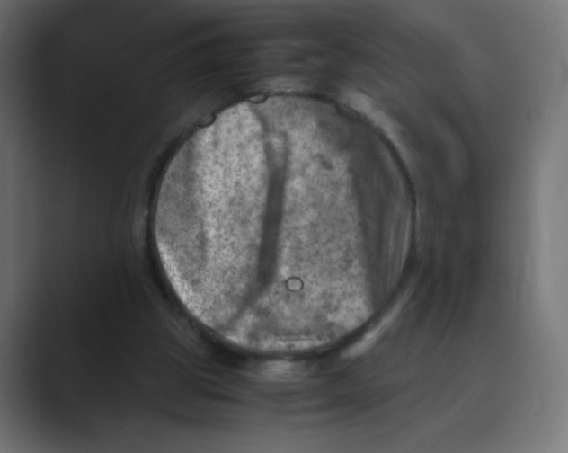 X0000088440153200706191259