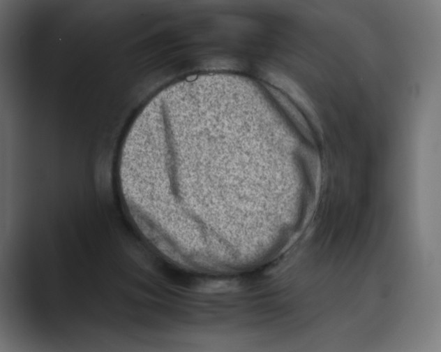 X0000088440155200706191259