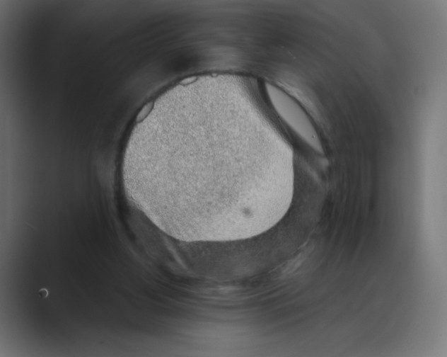 X0000088440156200706191259