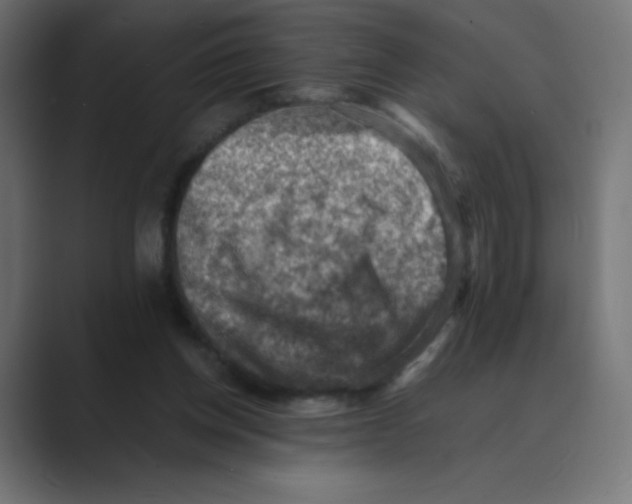 X0000088440158200706191259