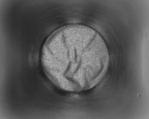 X0000088440159200706191259