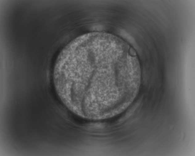 X0000088440161200706191259