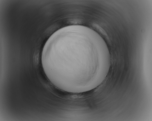 X0000088440163200706191259