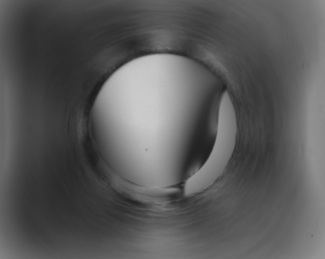 X0000088440164200706191259