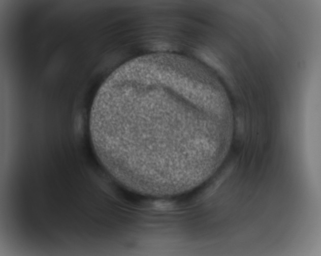 X0000088440165200706191259