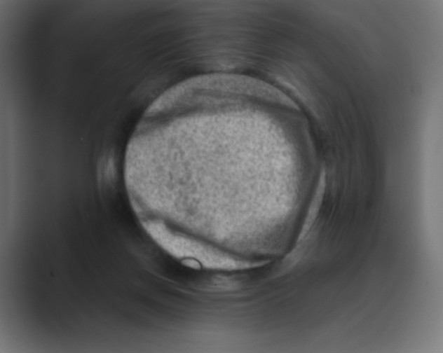 X0000088440166200706191259
