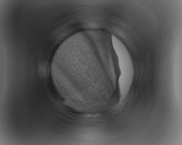 X0000088440168200706191259