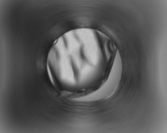 X0000088440170200706191259