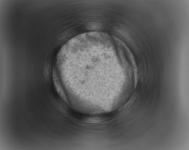 X0000088440171200706191259