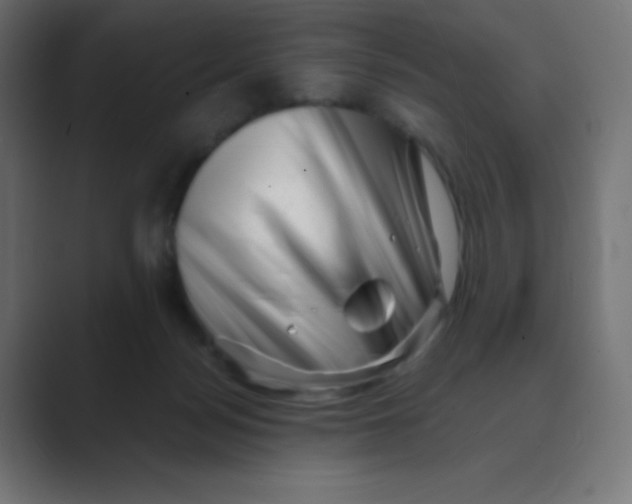 X0000088440172200706191259