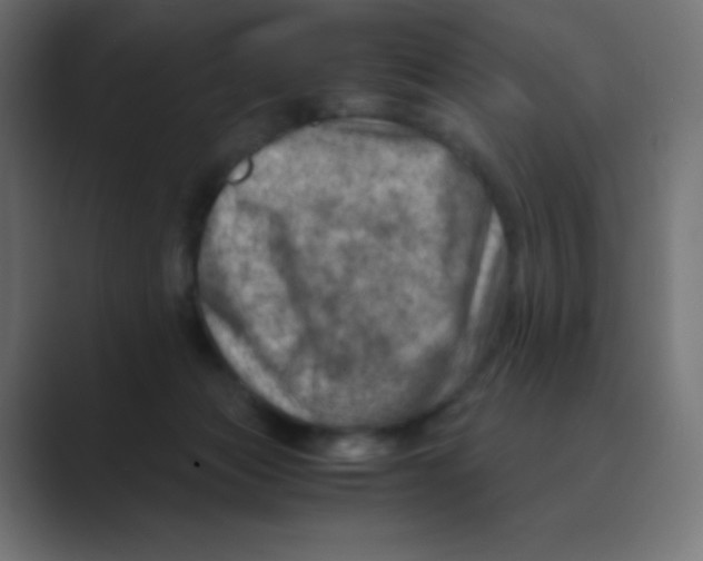 X0000088440173200706191259