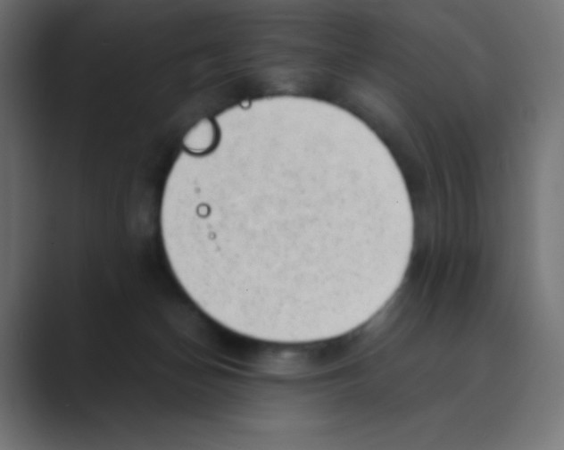 X0000088440174200706191259